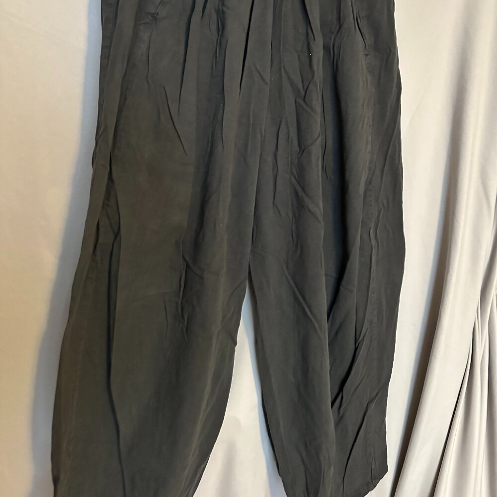 Free People Baggy Pants - Picture 2 of 3